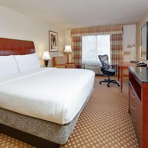 Zimmer mit Kingsize-Bett